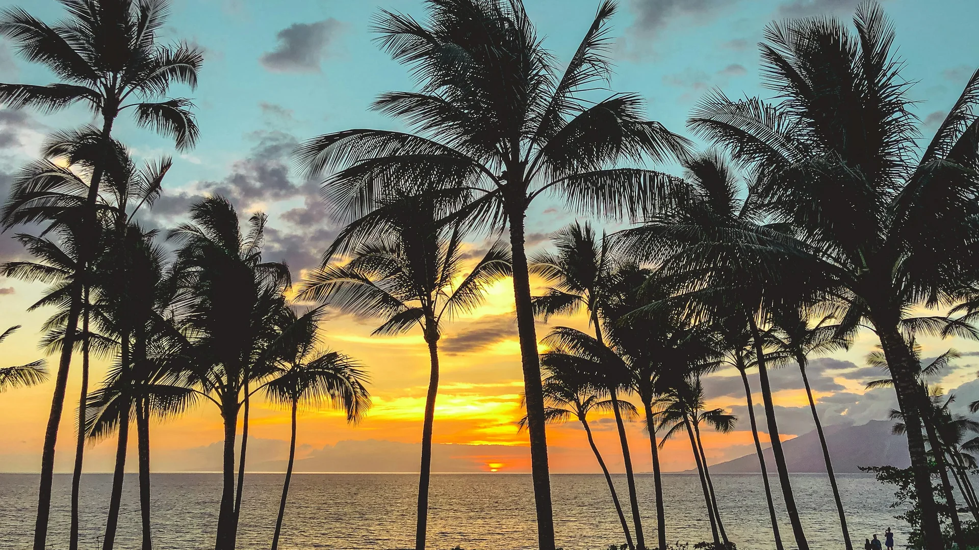 Tall coconut palms in silhouette against a gold and orange sunset over the ocean, with the hills of West Maui at the right