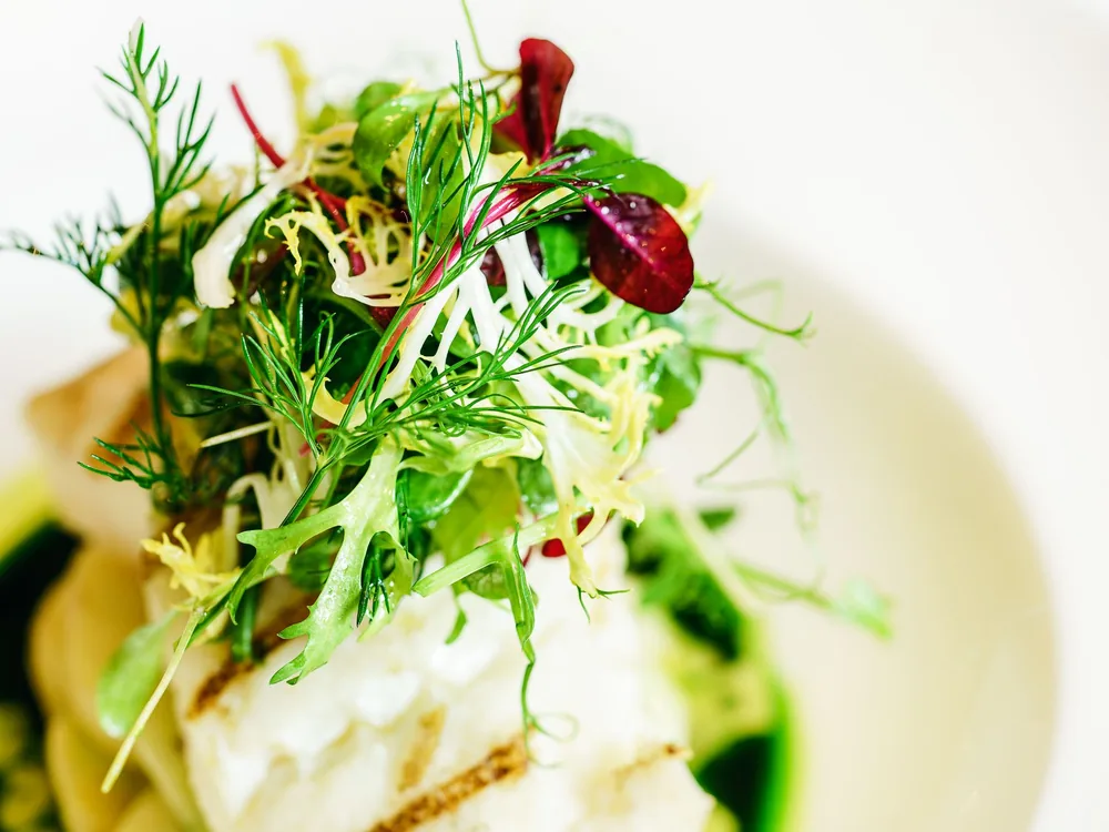 A fresh green salad with dressing and a grilled fish fillet on a white plate